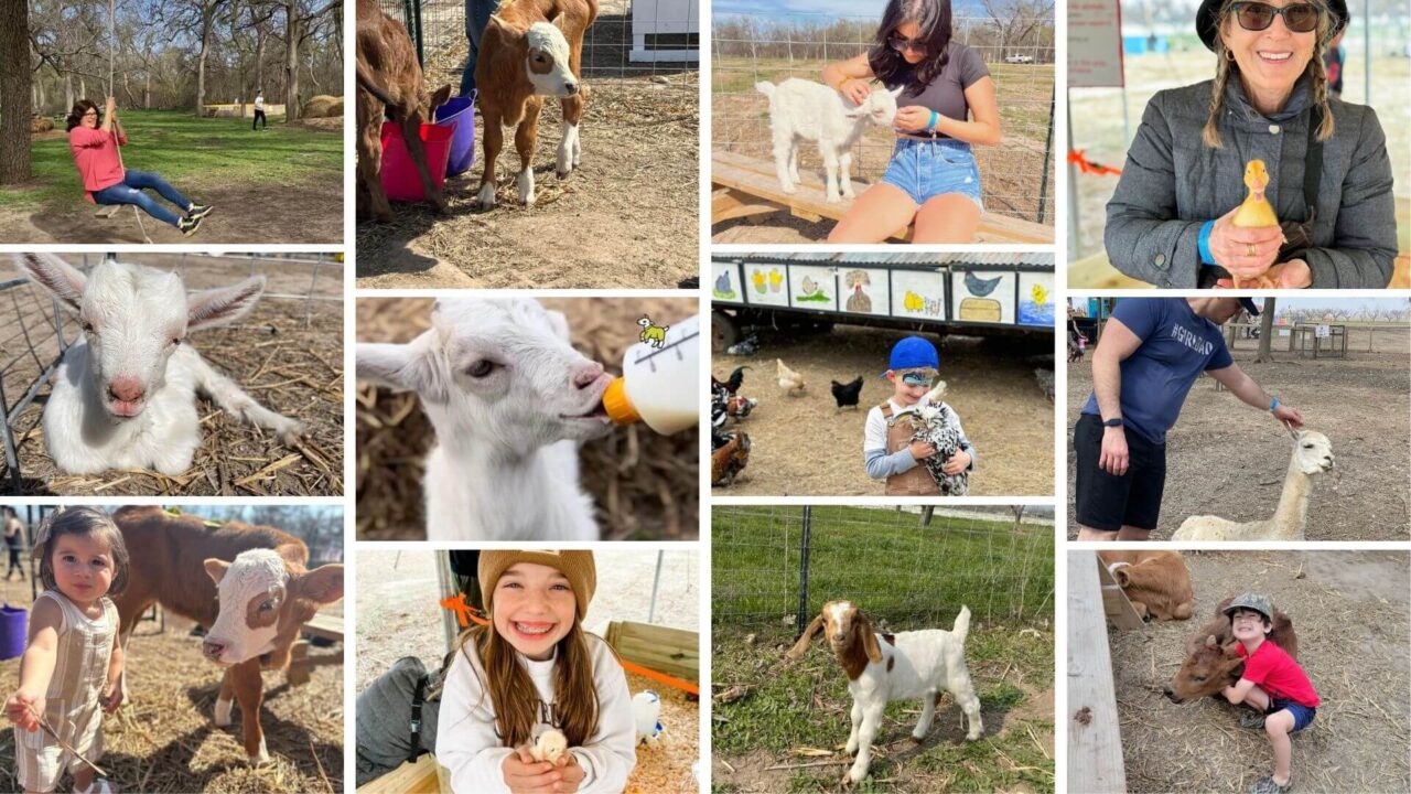 Best Things To Do In Austin This Weekend - Sweet Eats Adventure Farm